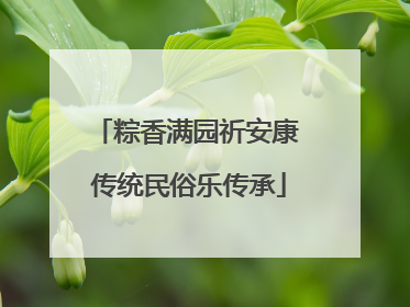 粽香满园祈安康 传统民俗乐传承