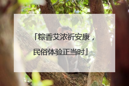 粽香艾浓祈安康，民俗体验正当时