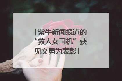 紫牛新闻报道的“救人女司机”获见义勇为表彰
