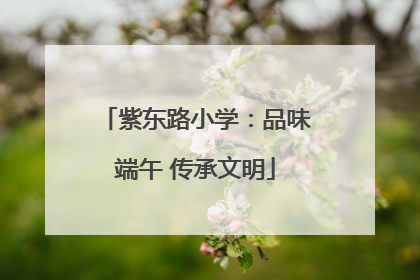 紫东路小学：品味端午 传承文明
