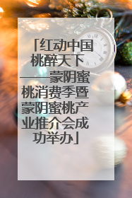 红动中国 桃醉天下——蒙阴蜜桃消费季暨蒙阴蜜桃产业推介会成功举办