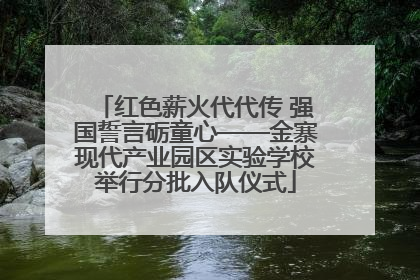 红色薪火代代传 强国誓言砺童心——金寨现代产业园区实验学校举行分批入队仪式