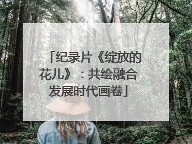纪录片《绽放的花儿》：共绘融合发展时代画卷