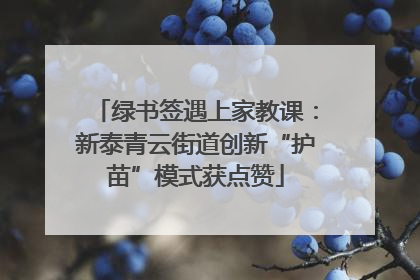 绿书签遇上家教课：新泰青云街道创新“护苗”模式获点赞
