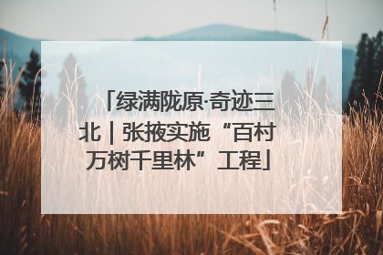 绿满陇原·奇迹三北｜张掖实施“百村万树千里林”工程