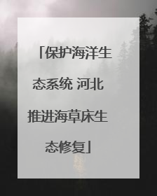保护海洋生态系统 河北推进海草床生态修复