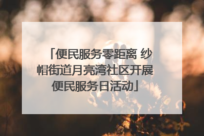 便民服务零距离 纱帽街道月亮湾社区开展便民服务日活动