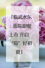 临武水东：蓝莓甜蜜上市 开启“莓”好初夏