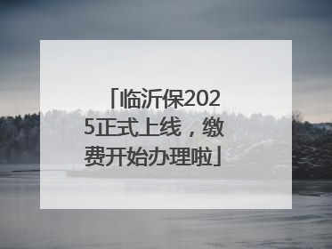 临沂保2025正式上线，缴费开始办理啦