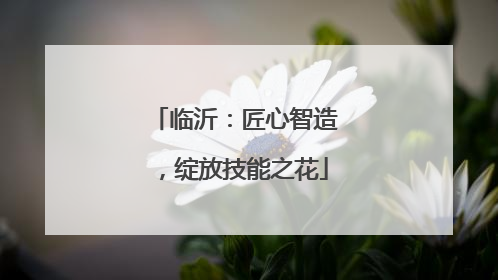 临沂：匠心智造，绽放技能之花
