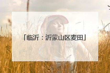临沂：沂蒙山区麦田