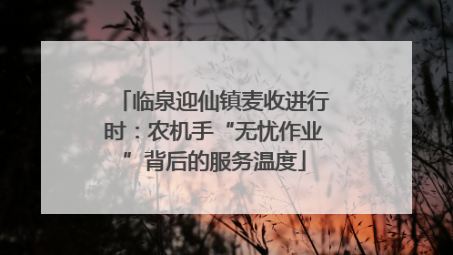 临泉迎仙镇麦收进行时：农机手“无忧作业”背后的服务温度
