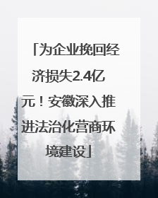 为企业挽回经济损失2.4亿元！安徽深入推进法治化营商环境建设