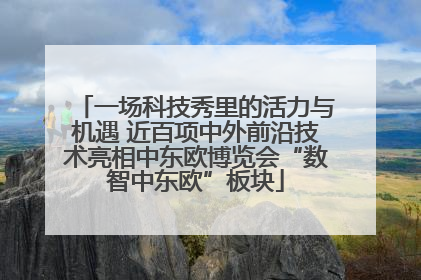 一场科技秀里的活力与机遇 近百项中外前沿技术亮相中东欧博览会“数智中东欧”板块