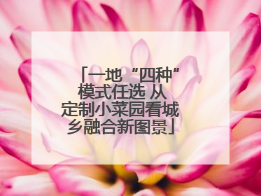 一地“四种” 模式任选 从定制小菜园看城乡融合新图景