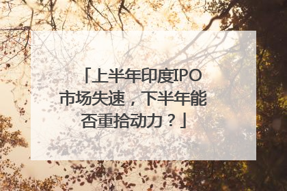 上半年印度IPO市场失速，下半年能否重拾动力？