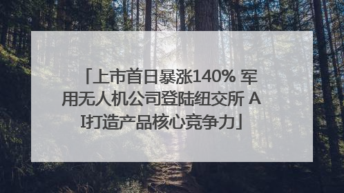 上市首日暴涨140% 军用无人机公司登陆纽交所 AI打造产品核心竞争力