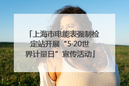 上海市电能表强制检定站开展“5·20世界计量日”宣传活动