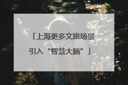 上海更多文旅场景引入“智慧大脑”