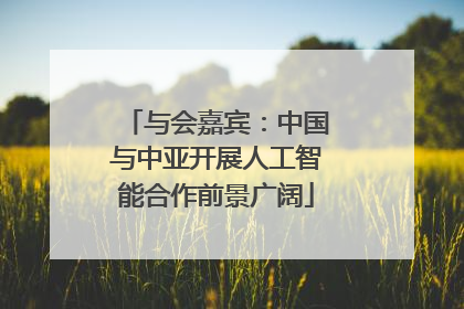 与会嘉宾：中国与中亚开展人工智能合作前景广阔