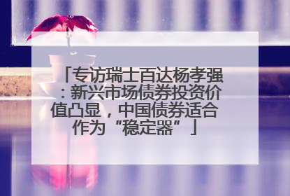 专访瑞士百达杨孝强：新兴市场债券投资价值凸显，中国债券适合作为“稳定器”