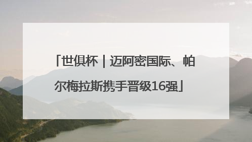 世俱杯｜迈阿密国际、帕尔梅拉斯携手晋级16强