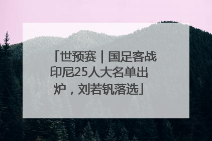 世预赛｜国足客战印尼25人大名单出炉，刘若钒落选