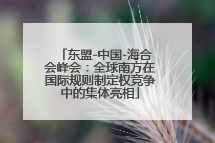 东盟-中国-海合会峰会：全球南方在国际规则制定权竞争中的集体亮相