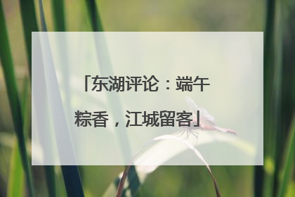 东湖评论：端午粽香，江城留客