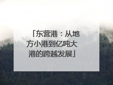 东营港：从地方小港到亿吨大港的跨越发展