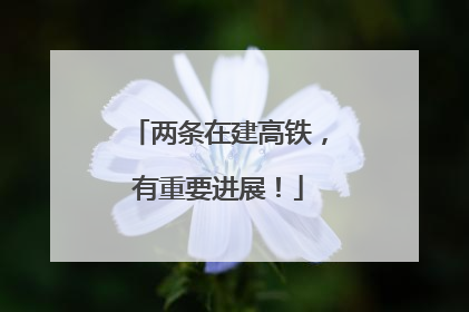 两条在建高铁，有重要进展！
