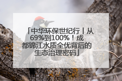 中华环保世纪行丨从69%到100%！成都锦江水质全优背后的生态治理密码