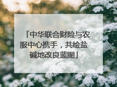 中华联合财险与农服中心携手，共绘盐碱地改良蓝图