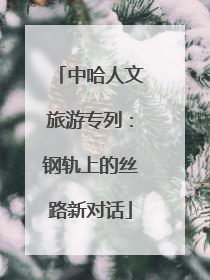 中哈人文旅游专列：钢轨上的丝路新对话
