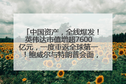 中国资产，全线爆发！英伟达市值增超7600亿元，一度重返全球第一！鲍威尔与特朗普会面，他们聊了什么？