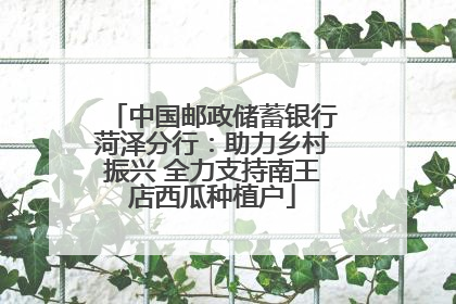 中国邮政储蓄银行菏泽分行：助力乡村振兴 全力支持南王店西瓜种植户