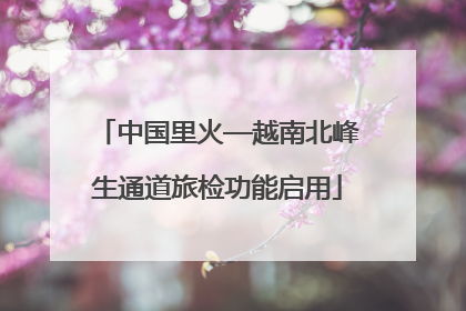 中国里火—越南北峰生通道旅检功能启用
