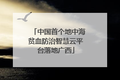 中国首个地中海贫血防治智慧云平台落地广西
