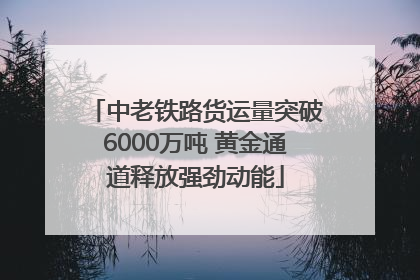 中老铁路货运量突破6000万吨 黄金通道释放强劲动能