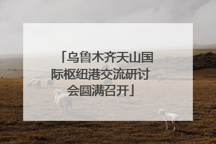 乌鲁木齐天山国际枢纽港交流研讨会圆满召开