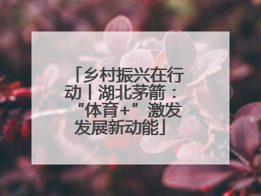乡村振兴在行动丨湖北茅箭：“体育+”激发发展新动能