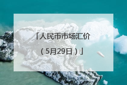 人民币市场汇价（5月29日）