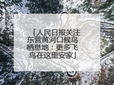 人民日报关注东营黄河口候鸟栖息地：更多飞鸟在这里安家