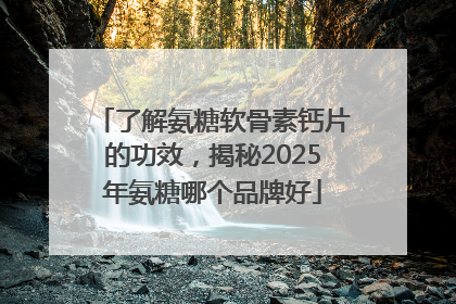 了解氨糖软骨素钙片的功效，揭秘2025年氨糖哪个品牌好