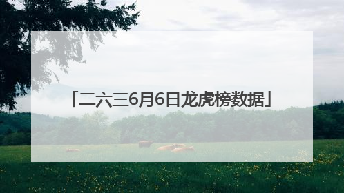 二六三6月6日龙虎榜数据