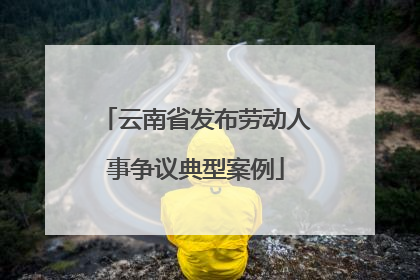 云南省发布劳动人事争议典型案例