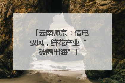 云南师宗：借电驭风，鲜花产业“破圈出海”