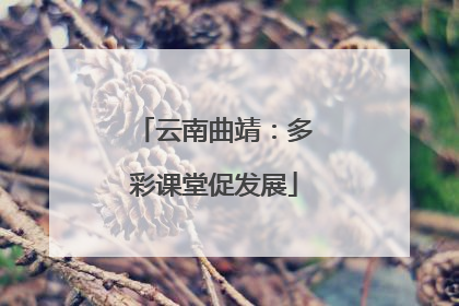云南曲靖：多彩课堂促发展