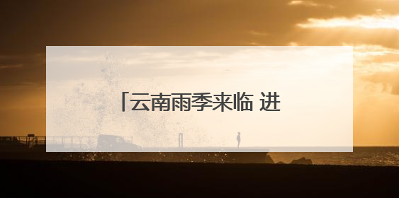 云南雨季来临 进入一年一度吃菌季