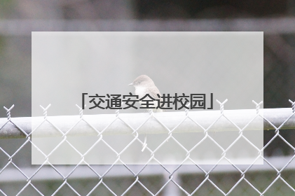 交通安全进校园